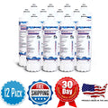 Brand , Water Filters , Model # --300-12000SK , Compatible with Pentair® EV9612-56 - 12 Filters - Made in U.S.A.