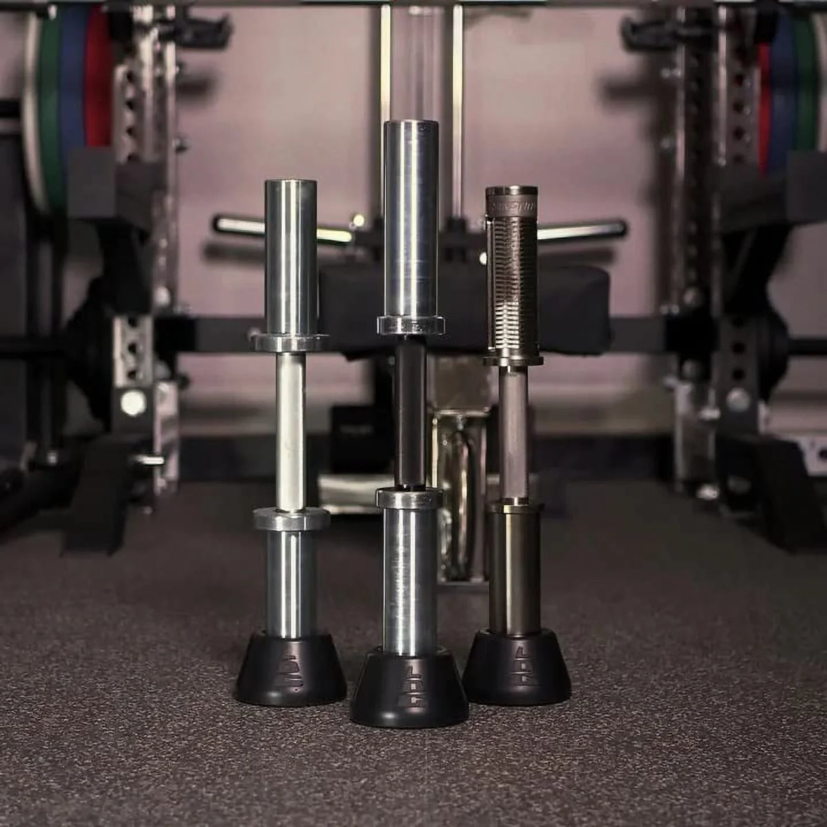 Loadable Dumbbell Cushions padded protection for weightlifting strength gain in gym or at home