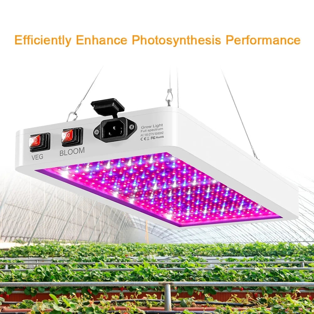 Aibecy Dual Switch  Grow Light 2000W for Indoor Plants Full Spectrum IP65 Waterproof Ideal for Seedlings Flowers Greenhouse