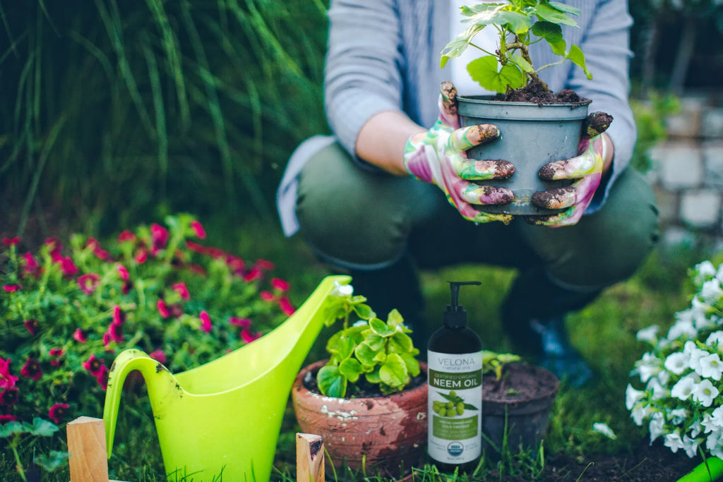 Velona Neem Oil  Certified Organic - 64 oz | 100% Pure and Natural Carrier Oil | Virgin, Unrefined, Cold Pressed | Hair, Body and Skin Care | Use Today - Enjoy Results