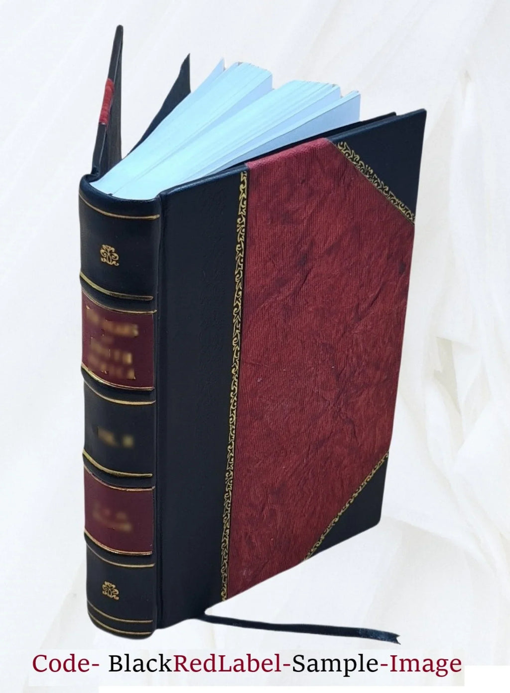 The Holy Ghost, the sanctifier 1880-04-06 00:00:00+00:00 [Leather Bound]