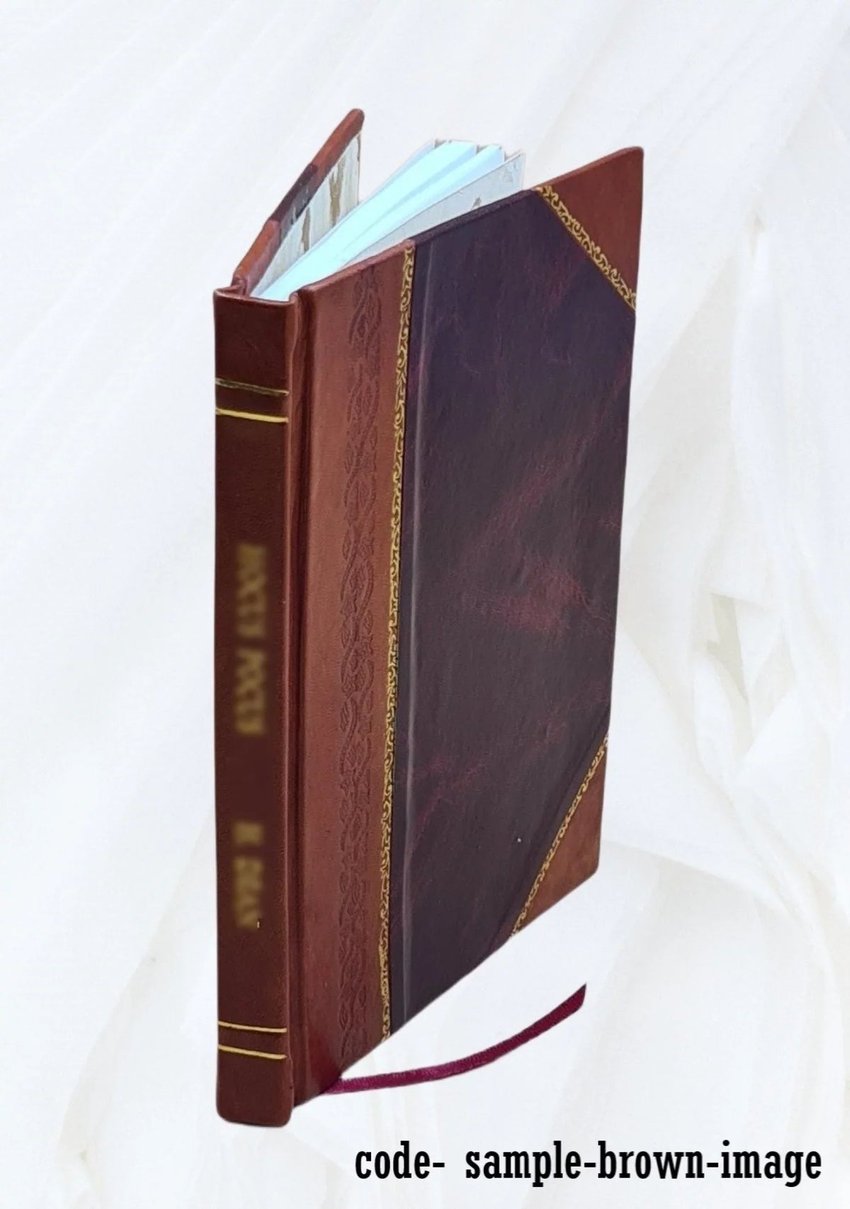 License a failure, prohibition unscriptural : what is the remedy? 1897 [Leather Bound]